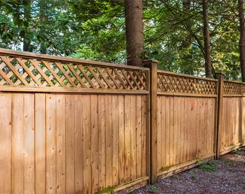 Cedar Fencing Surrey Guy