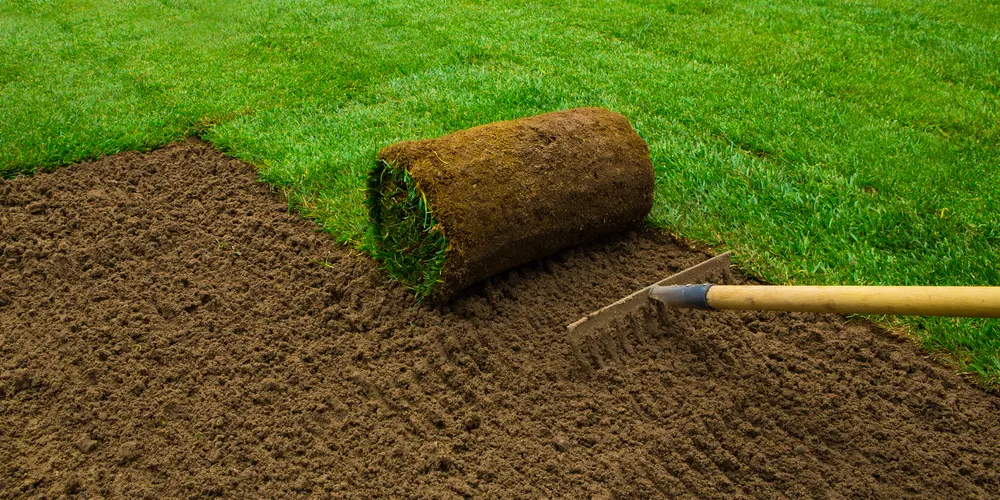 Sod Installation Surrey