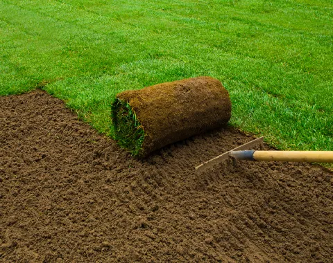 Sod Installation